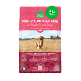 Open Farm ancient grains dry dog food bag with protein‑rich formula for active dogs