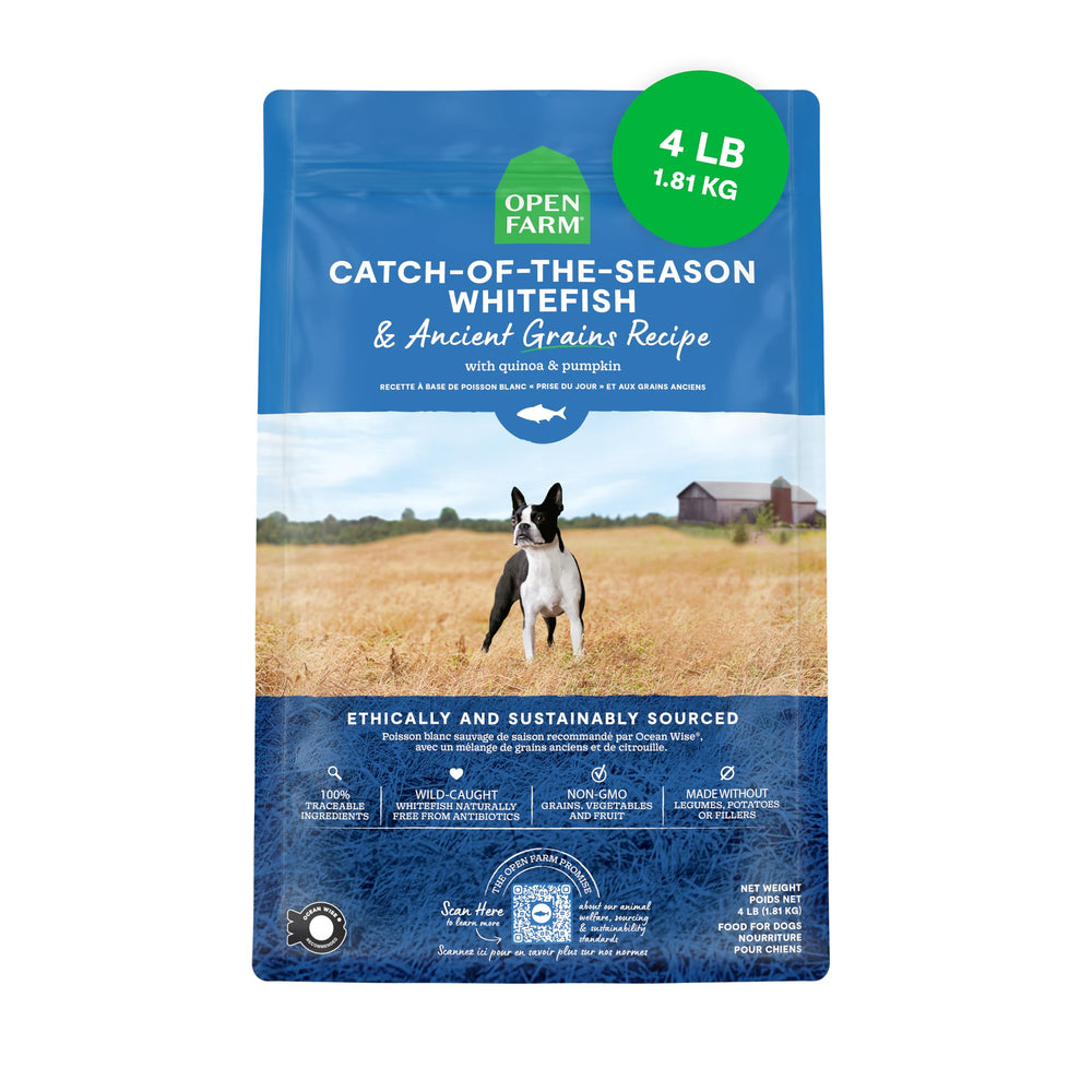 Open Farm Ancient Grains dry dog food kibble in a bowl supports protein-rich meals