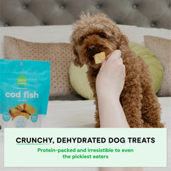 Open Farm dehydrated cod treats crunch close-up highlights crisp texture and tasty rewards.