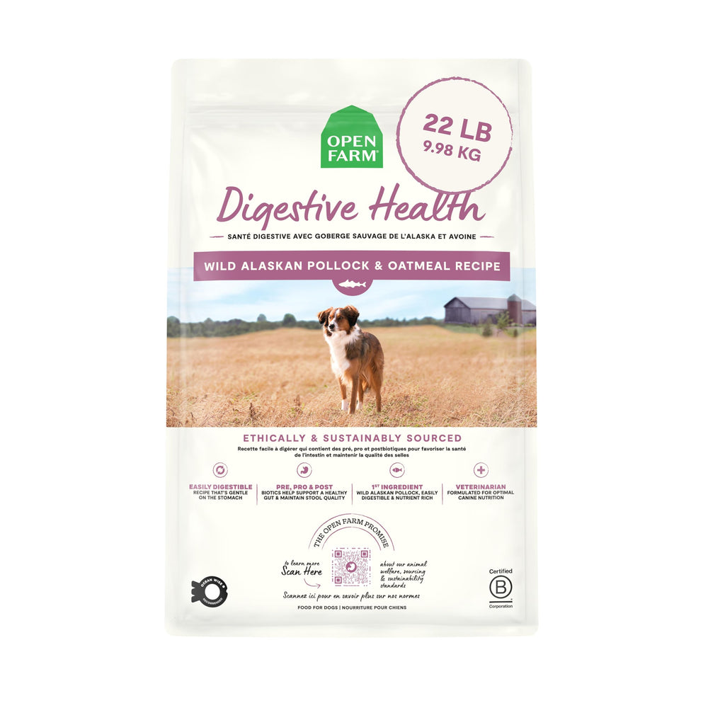 Open Farm Digestive Health dry dog food bowl image shows gentle digestion support in daily feeding.