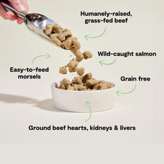 Open Farm freeze-dried dog food morsels close-up reveal bite-sized texture.