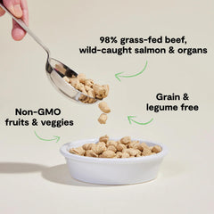 Open Farm freeze-dried raw cat food in a bowl ready to serve