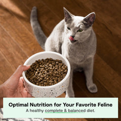 Open Farm grain-free dry cat food kibble closeup highlights high-protein bites.