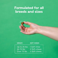 Open Farm Immune Chews close-up of soft chews with probiotics.