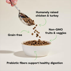 Open Farm non-GMO pumpkin and dandelion greens image showcases functional ingredients for cats.