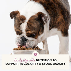 Open Farm probiotics and prebiotics plus postbiotics support gut health and nutrient absorption.