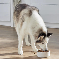 Open Farm RawMix ancient grains blend closeup highlights wholesome ingredients for steady energy.