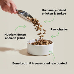 Open Farm RawMix in a bowl highlighting protein-focused meal.