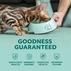 Optimeal Indoor Cat Dry Food chicken and brown rice kibble close-up for palatable digestion