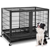 Oranland 48in wire dog crate front view highlights sturdy frame for secure, easy-to-clean housing
