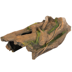 Orchid Valley log peep hole offers quick peeks and exploration for curious reptiles.