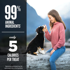 ORIJEN dog treats training-scene highlighting high-protein reward
