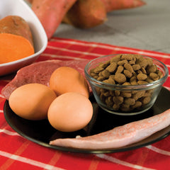 Orijen Regional Red dog-eating demonstrates premium, complete meal option.