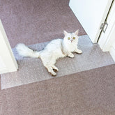 Oroonoko carpet protector clear doorway coverage shows durable pet shield for high-traffic areas