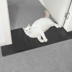Oroonoko doorway carpet protector roll covering a doorway for pet protection and easy installation.