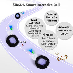 ORSDA random-movement highlights unpredictable paths to sustain curiosity