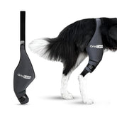Ortocanis dog knee brace left hind leg close-up showing secure fit for stable support.