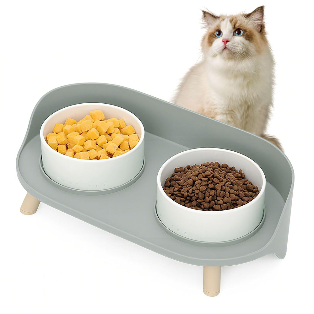 Oskrieel Elevated Dog Bowls setup demonstrates ergonomic feeding for small dogs.