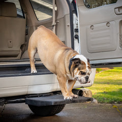 Otto Step USA-made construction emphasizes durability