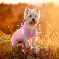 Otunrues dog hoodie back view in pink highlights fashion detail and secure fit