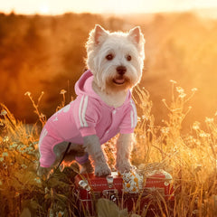 Otunrues dog hoodie pink large front view with soft cotton fabric