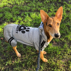 Otunrues dog hoodie with snap closure for easy on-off