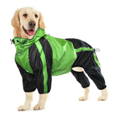 OUOBOB dog rain jacket hood on the dog for rain coverage.