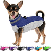 OUOBOB dog coat waterproof shell on a small dog showing rain protection