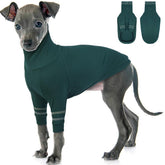 OUOBOB Greyhound Sweater front view shows snug knit for chilly outdoor walks.