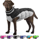 OUOBOB large dog coat waterproof back zipper for dry, comfortable walks.