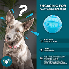 Our Pets IQ Treat Ball filled with kibble demonstrates versatile feeding rewards.
