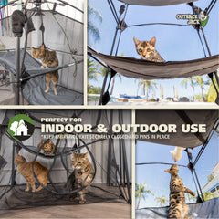Outback Jack Catio indoor play tent provides a safe, visible space for kittens.