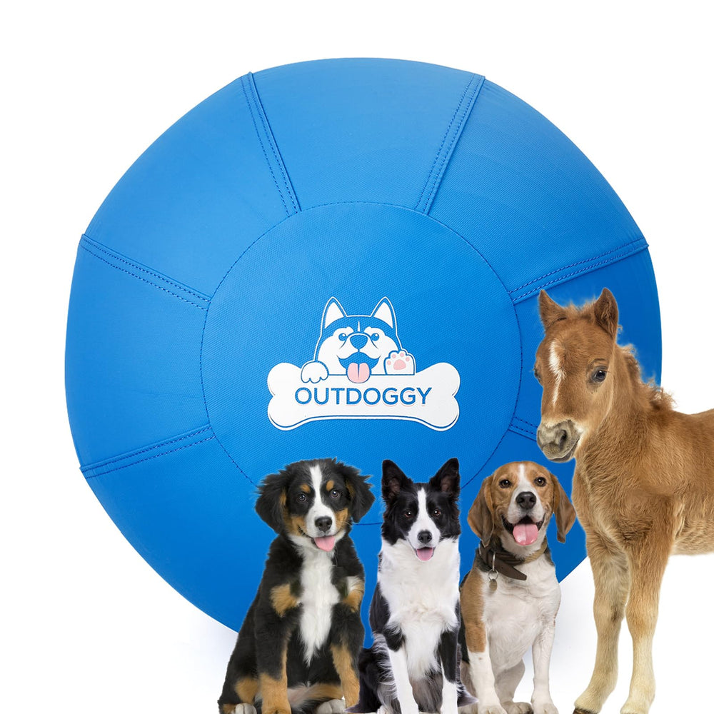 Outdoggy Herding Ball 22inch cover closeup shows durable outdoor play