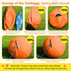 Outdoggy Herding Ball dog pushing and herding action for interactive training.