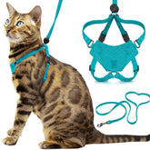 OutdoorBengal Houdini turquoise harness front view for secure escape protection while walking