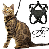 OutdoorBengal Houdini harness close-up shows escape-proof neck ring for secure walks