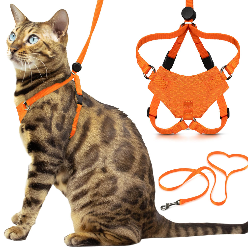 OutdoorBengal Houdini harness orange on cat for secure outdoor adventures.