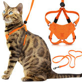 OutdoorBengal Houdini harness orange on cat for secure outdoor adventures.