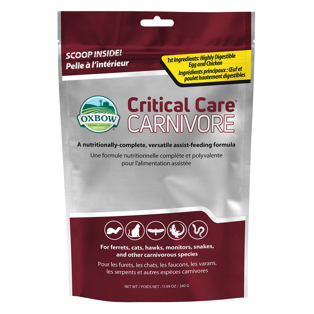 Oxbow Carnivore Care powder bag highlights premium recovery nutrition for cats and ferrets.
