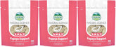 Oxbow Natural Science papaya wafers 3-pack, chewy texture supports small pets' digestion