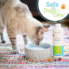 Oxyfresh premium pet dental water additive cat dosing demonstrates odorless use for stress-free care.