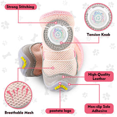 paatata dog shoes breathable mesh upper keeps paws cool during long walks.