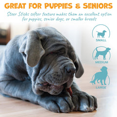 Pack Approved steer pizzle stick easy chew scene emphasizes gentler bite and digestion