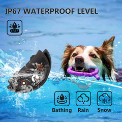 Paipaitek no-shock training collar highlighting humane vibration cues