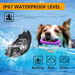Paipaitek vibration collar being used while a dog swims.