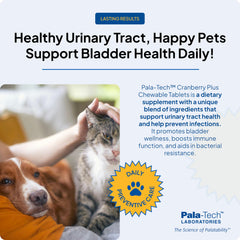 Pala-Tech dog taking chewable demonstrates simple daily urinary health support.