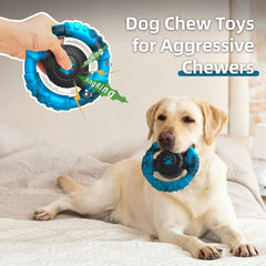 Pamlulu chew toy with squeaker-inside encourages interactive play and focus