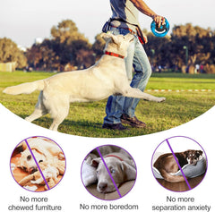 Pamlulu textured-surfaces chew toy promotes ongoing dental-friendly licking and gum care