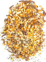 Pampered Chicken Mama Poultry Queen corn closeup shows non-GMO nutrition for eggs.