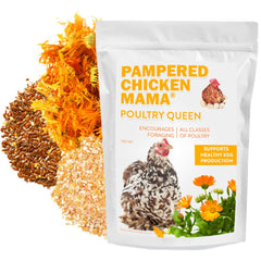 Pampered Chicken Mama Poultry Queen Treat mealworms closeup promotes healthy feather growth.